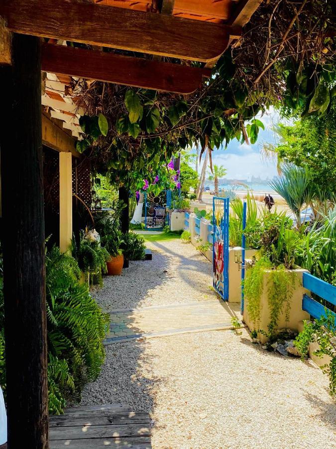 Aruba Sunset Beach Studios Palm Beach Exterior photo