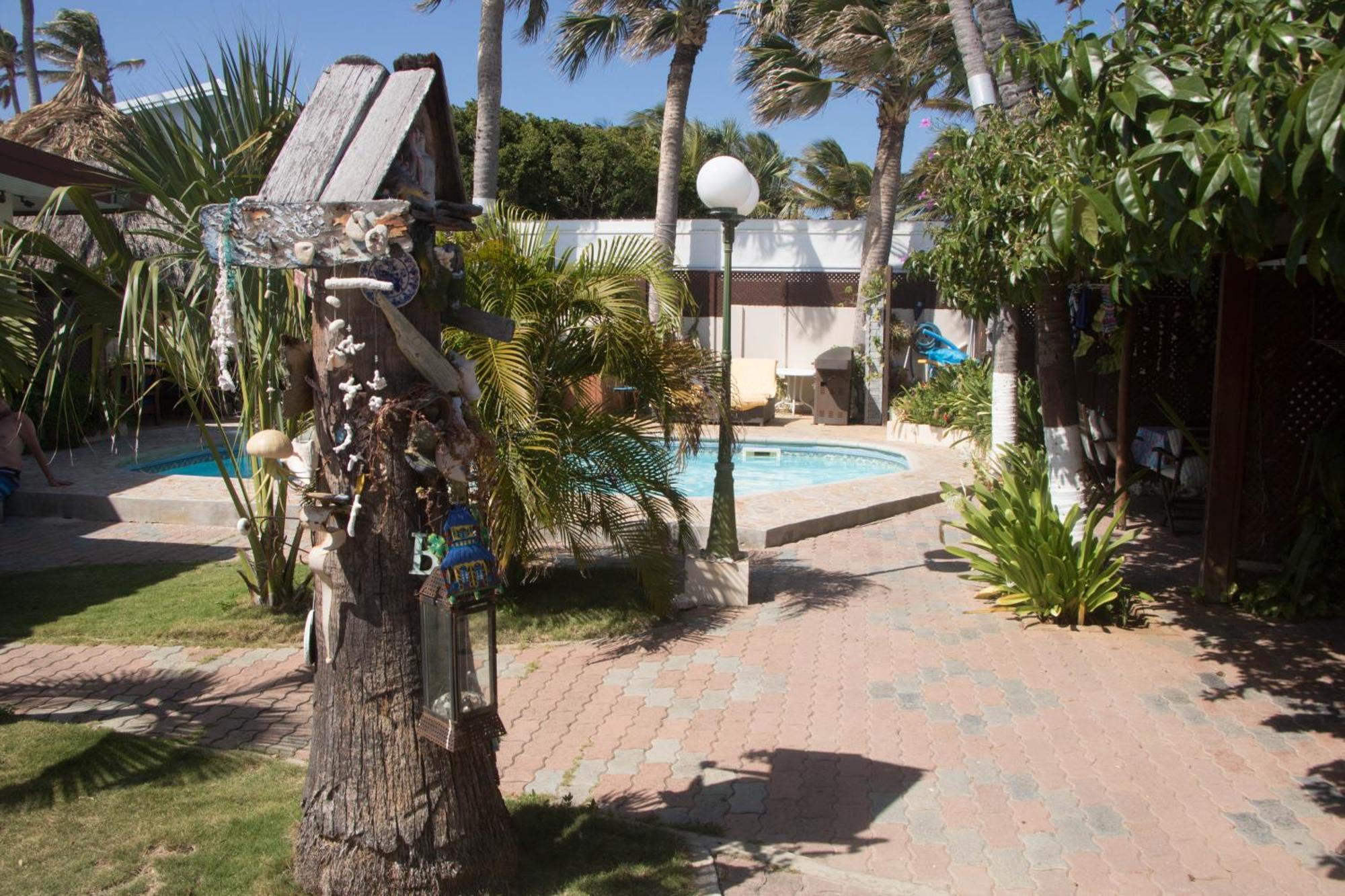Aruba Sunset Beach Studios Palm Beach Exterior photo